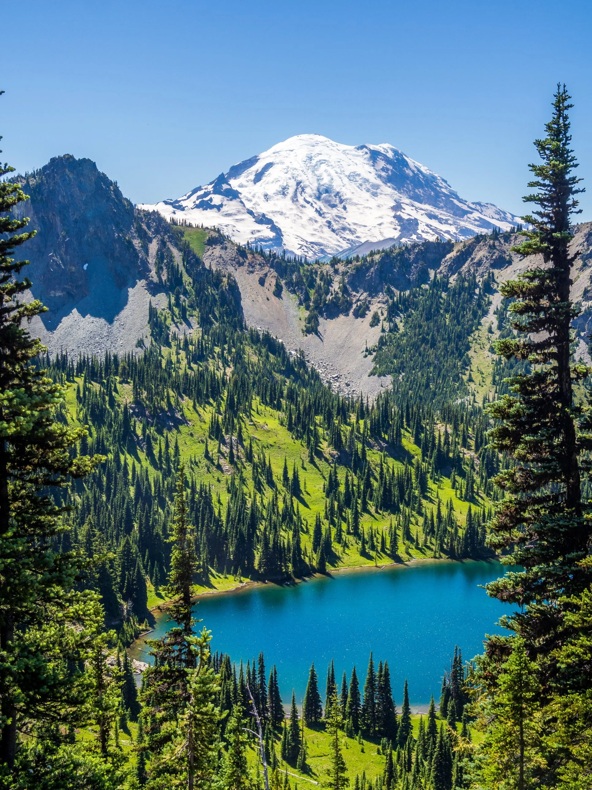 Peak Season: Rainier above Crystal Lake