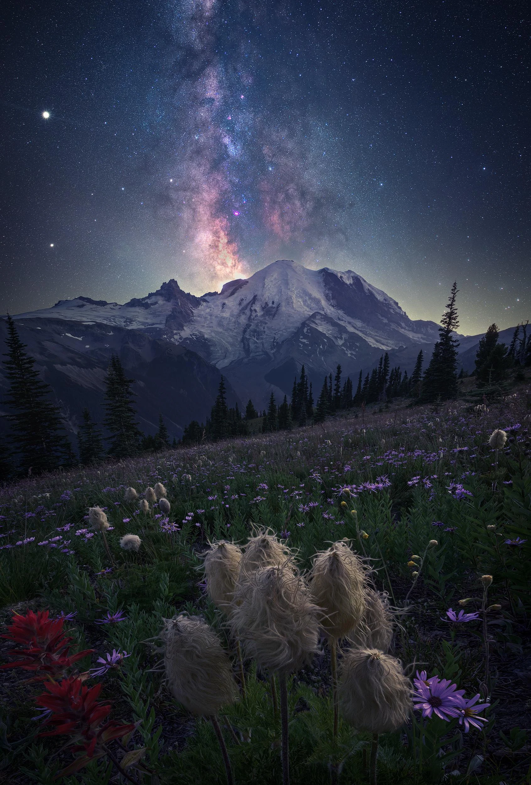 Peak Season: Milky Way over Rainier