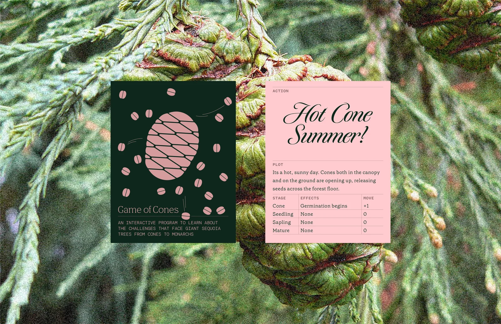 Game of Cones: Hot cone summer goc