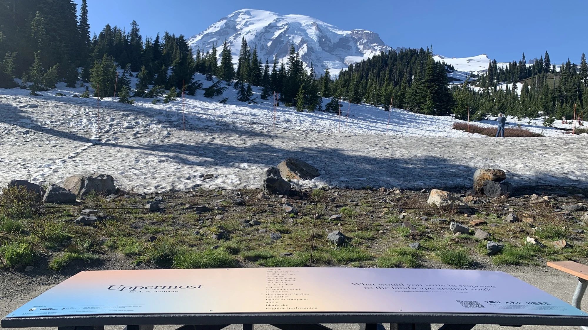 Poetry in Parks: Uppermost, with Mount Rainier Behind