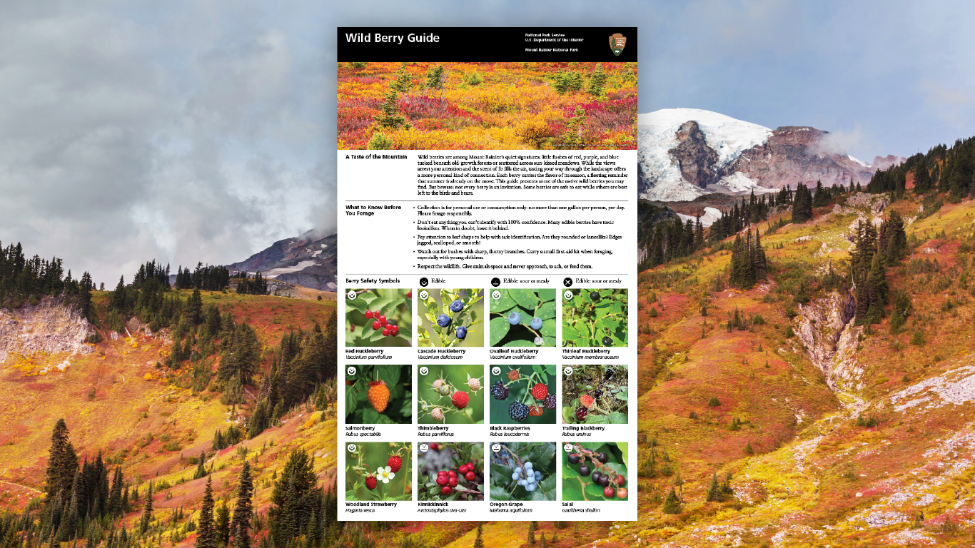 Wild Berry Guide, image 1